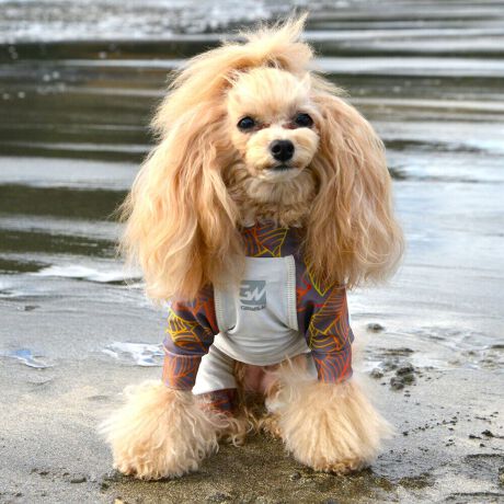 [^:LGE544-4100S][^LGE544-4100SMALL]⊴hiꃁg[jƋzM⊴iAR[ނȂǗʂɓ⊴vgHAuSv`xXgb`{tbgV[}Dv̗pADڂŃSȂSnƔQ̃tBbgɂ蓮₷܂B܂AOՕtoeTO{A[ꎞł莋FłXgb`}`tN^[ɂSǋITCY w(cm) (cm) (cm)XS 23 32`36 20`24S 27 35`39 22`262S 29 36`40 22`26M 31 40`44 24`282M 31 44`48 26`303M 35 46`50 27`31L 38 50`54 29`332L 41 54`58 31`353L 43 58`62 33`374L 46 62`66 35`395L 49 67`71 38`42XL 55 71`75 38`422XL 58 79`83 43`473XL 61 87`91 48`524XL 65.5 89`93 52`565XL 70 92`96 57`61DS 31 36`40 23`27DM 35 40`44 26`30BS 29 48`53 33`37BM 31 53`58 36`40BL 33 55`60 39`43CGS 42 48`53 32`36CGM 47 53`58 35`39CGL 52 58`63 38`42HS 34 38`41 18`22HSM 35.5 41`44 20`24HM 37 44`47 21`25HL 40 47`50 23`27yDSzyDMzF_bNXthpyBSzyBMzyBLzFt`uhbNpyCGSzyCGMzyCGLzFR[M[pyHSzyHSMzyHMzyHLzFnEhnp