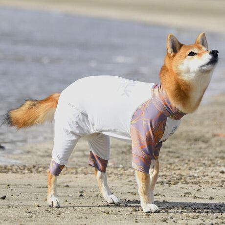 [^:LGE544-5100M][^LGE544-5100MEDIUM]⊴hiꃁg[jƋzM⊴iAR[ނȂǗʂɓ⊴vgHAuSv`xXgb`{tbgV[}Dv̗pADڂŃSȂSnƔQ̃tBbgɂ蓮₷܂B܂AOՕtoeTO{A[ꎞł莋FłXgb`}`tN^[ɂSǋITCY w(cm) (cm) (cm)XS 23 32`36 20`24S 27 35`39 22`262S 29 36`40 22`26M 31 40`44 24`282M 31 44`48 26`303M 35 46`50 27`31L 38 50`54 29`332L 41 54`58 31`353L 43 58`62 33`374L 46 62`66 35`395L 49 67`71 38`42XL 55 71`75 38`422XL 58 79`83 43`473XL 61 87`91 48`524XL 65.5 89`93 52`565XL 70 92`96 57`61DS 31 36`40 23`27DM 35 40`44 26`30BS 29 48`53 33`37BM 31 53`58 36`40BL 33 55`60 39`43CGS 42 48`53 32`36CGM 47 53`58 35`39CGL 52 58`63 38`42HS 34 38`41 18`22HSM 35.5 41`44 20`24HM 37 44`47 21`25HL 40 47`50 23`27yDSzyDMzF_bNXthpyBSzyBMzyBLzFt`uhbNpyCGSzyCGMzyCGLzFR[M[pyHSzyHSMzyHMzyHLzFnEhnp