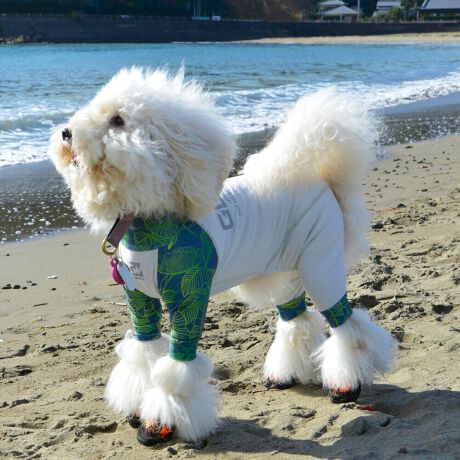 [^:LGE544-5600M][^LGE544-5600MEDIUM]⊴hiꃁg[jƋzM⊴iAR[ނȂǗʂɓ⊴vgHAuSv`xXgb`{tbgV[}Dv̗pADڂŃSȂSnƔQ̃tBbgɂ蓮₷܂B܂AOՕtoeTO{A[ꎞł莋FłXgb`}`tN^[ɂSǋITCY w(cm) (cm) (cm)XS 23 32`36 20`24S 27 35`39 22`262S 29 36`40 22`26M 31 40`44 24`282M 31 44`48 26`303M 35 46`50 27`31L 38 50`54 29`332L 41 54`58 31`353L 43 58`62 33`374L 46 62`66 35`395L 49 67`71 38`42XL 55 71`75 38`422XL 58 79`83 43`473XL 61 87`91 48`524XL 65.5 89`93 52`565XL 70 92`96 57`61DS 31 36`40 23`27DM 35 40`44 26`30BS 29 48`53 33`37BM 31 53`58 36`40BL 33 55`60 39`43CGS 42 48`53 32`36CGM 47 53`58 35`39CGL 52 58`63 38`42HS 34 38`41 18`22HSM 35.5 41`44 20`24HM 37 44`47 21`25HL 40 47`50 23`27yDSzyDMzF_bNXthpyBSzyBMzyBLzFt`uhbNpyCGSzyCGMzyCGLzFR[M[pyHSzyHSMzyHMzyHLzFnEhnp