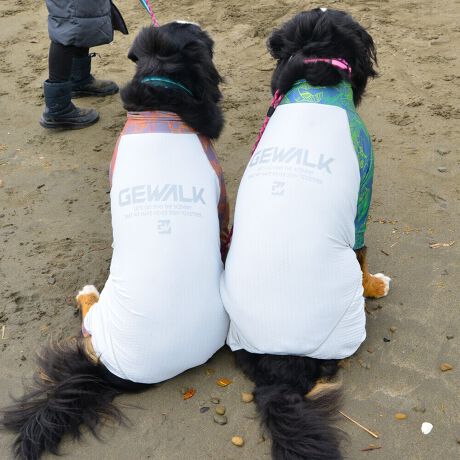 [^:LGE544-7600L][^LGE544-7600LARGE]⊴hiꃁg[jƋzM⊴iAR[ނȂǗʂɓ⊴vgHAuSv`xXgb`{tbgV[}Dv̗pADڂŃSȂSnƔQ̃tBbgɂ蓮₷܂B܂AOՕtoeTO{A[ꎞł莋FłXgb`}`tN^[ɂSǋITCY w(cm) (cm) (cm)XS 23 32`36 20`24S 27 35`39 22`262S 29 36`40 22`26M 31 40`44 24`282M 31 44`48 26`303M 35 46`50 27`31L 38 50`54 29`332L 41 54`58 31`353L 43 58`62 33`374L 46 62`66 35`395L 49 67`71 38`42XL 55 71`75 38`422XL 58 79`83 43`473XL 61 87`91 48`524XL 65.5 89`93 52`565XL 70 92`96 57`61DS 31 36`40 23`27DM 35 40`44 26`30BS 29 48`53 33`37BM 31 53`58 36`40BL 33 55`60 39`43CGS 42 48`53 32`36CGM 47 53`58 35`39CGL 52 58`63 38`42HS 34 38`41 18`22HSM 35.5 41`44 20`24HM 37 44`47 21`25HL 40 47`50 23`27yDSzyDMzF_bNXthpyBSzyBMzyBLzFt`uhbNpyCGSzyCGMzyCGLzFR[M[pyHSzyHSMzyHMzyHLzFnEhnp