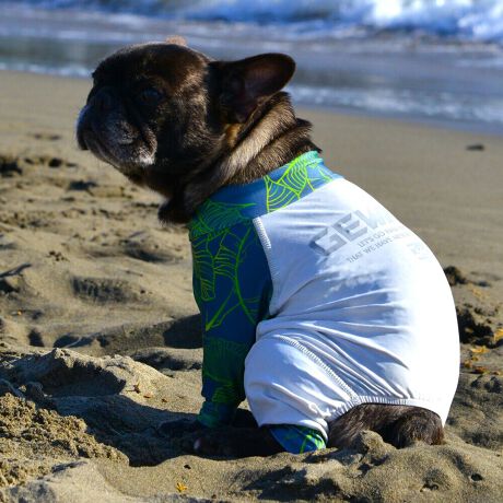 [^:LGE544-4100FB][^LGE544-4100FB]⊴hiꃁg[jƋzM⊴iAR[ނȂǗʂɓ⊴vgHAuSv`xXgb`{tbgV[}Dv̗pADڂŃSȂSnƔQ̃tBbgɂ蓮₷܂B܂AOՕtoeTO{A[ꎞł莋FłXgb`}`tN^[ɂSǋITCY w(cm) (cm) (cm)XS 23 32`36 20`24S 27 35`39 22`262S 29 36`40 22`26M 31 40`44 24`282M 31 44`48 26`303M 35 46`50 27`31L 38 50`54 29`332L 41 54`58 31`353L 43 58`62 33`374L 46 62`66 35`395L 49 67`71 38`42XL 55 71`75 38`422XL 58 79`83 43`473XL 61 87`91 48`524XL 65.5 89`93 52`565XL 70 92`96 57`61DS 31 36`40 23`27DM 35 40`44 26`30BS 29 48`53 33`37BM 31 53`58 36`40BL 33 55`60 39`43CGS 42 48`53 32`36CGM 47 53`58 35`39CGL 52 58`63 38`42HS 34 38`41 18`22HSM 35.5 41`44 20`24HM 37 44`47 21`25HL 40 47`50 23`27yDSzyDMzF_bNXthpyBSzyBMzyBLzFt`uhbNpyCGSzyCGMzyCGLzFR[M[pyHSzyHSMzyHMzyHLzFnEhnp