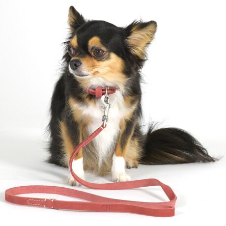 ƂC̎ւ́AEl̋ZɂȂĂ܂BRgXĝXeb`v̎RȐFāAn̐El̎d̐ʂ鐻iłBTCY (cm) Kp(kg)2.5 :16.5`20.5cm ω׏d`3kgf3 :20`26cm ω׏d`6kgf3.5 :24`30cm ω׏d`9kgf4 :29`35cm ω׏d`12kgf4.5 :35`41cm ω׏d`15kgf