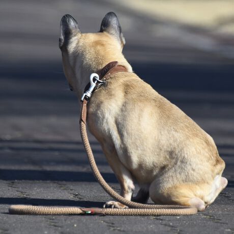 bNXdグ̋vƏvȃ|RbgE[v̑gݍ킹ɂÃ[h͓ɉOł̎gpɓKĂ܂BpIň₷AԂ̎UɍœKłBTCY (cm) Kp(kg)S ω׏d`9kgfL ω׏d`15kgf