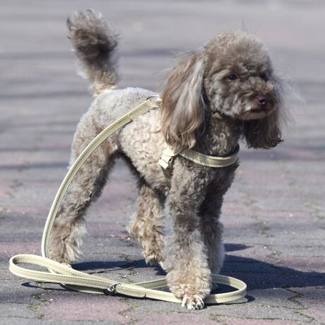 ㎿Ŋ炩ȃAjU[ƐꂽU[h^U[B̓ʂŗDȃRNV́AQ̑fނtłRgXgŜ̖͂wĂ܂BprŃ_ȐFʂ̃n[lX́AsIŌIȊɍœKłBTCY (cm) Kp(kg)XS ω׏d`3kgfS ω׏d`6kgfM ω׏d`9kgfL ω׏d`12kgf