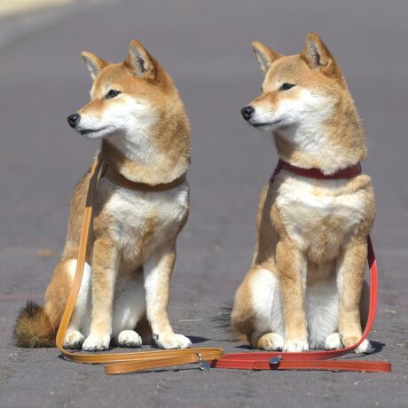 ㎿Ŋ炩ȃAjU[ƐꂽU[h^U[B̓ʂŗDȃRNV́AQ̑fނtłRgXgŜ̖͂wĂ܂BprŃ_ȐFʂ̃n[lX́AsIŌIȊɍœKłBTCY (cm) Kp(kg)XS ω׏d`3kgfS ω׏d`6kgfM ω׏d`9kgfL ω׏d`12kgf