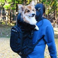 ケーナインスポーツサック(K9 Sport Sack(R))のLKS103 Ｋ９　スポーツサック　プラス　２ 【L】