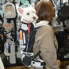 ケーナインスポーツサック(K9 Sport Sack(R))のLKS104 Ｋ９　スポーツサック　ナビゲート 【M】