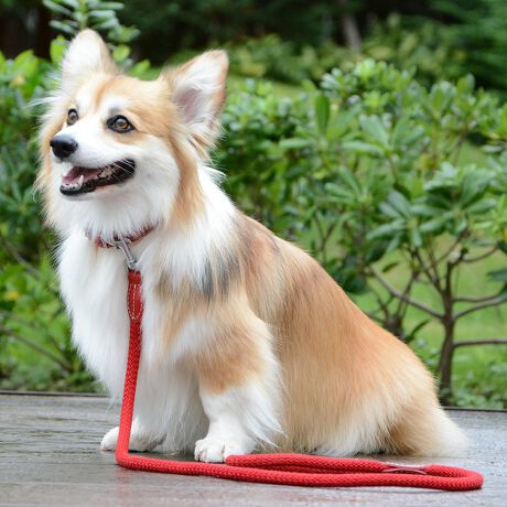 [^:LDV100-3000]C^Ȁ_炩|Rbg[vRNVBLxȐFƐi̕iłB@iȃ^ANZT[𑕒ARȕ̎ŏiɖDĂ܂BSăC^AŃnhNtgꂽPOOl@@hłBTCY (cm) Kp(kg)2.5 F16`21cm KTCY̏dikgj`4kg3 F21`26cm KTCY̏dikgj`6kg3.5 F25`31cm KTCY̏dikgj`8kg4 F30`36cm KTCY̏dikgj`10kg