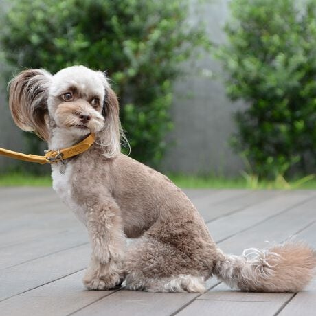 [^:LDV101-3000]C^ÃkobNU[RNVBkobNU[͔ɏ_炩̂łBJ[͂TFA@̏ȉƑɎpIŉKȃACeƂȂĂ܂B@܂AAeB[NVo[ANZT[𑕒ARȕ̎ŏiɖDĂ܂BSăC^AŃnhNtgꂽPOOl@@hłBTCY (cm) Kp(kg)2.5 F16`21cm KTCY̏dikgj`4kg3 F21`26cm KTCY̏dikgj`6kg3.5 F25`31cm KTCY̏dikgj`8kg4 F30`36cm KTCY̏dikgj`10kg