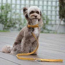 ダウィンチ(Da Vinci)のLDV301 カラードレザーリーシュ１１０ 【S M】 イタリアンレザー　ハーネス