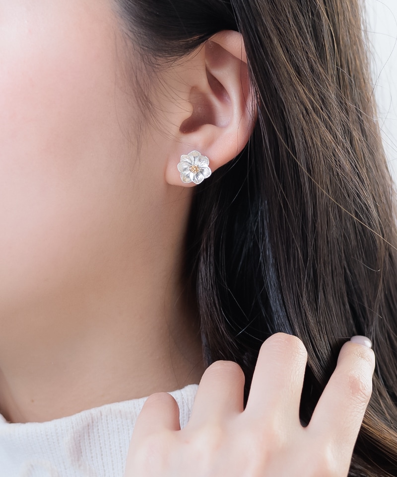 [}C]ymjbPz|Cg^t[/\邾sAX PiPPiiHarudake Pierce PiPPij Vo[