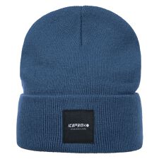 アイスピーク(ICEPEAK)のICEPEAK HARCOURT