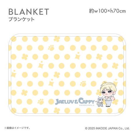 [^:JG09263]`낵CXggpAAӂӂ헼ʋNт̃uPbgB舵̂Ӂڍ׉摜mFsǕiȊÕLZEԕiE͂Ήv˂܂̂łB͂\F11{`