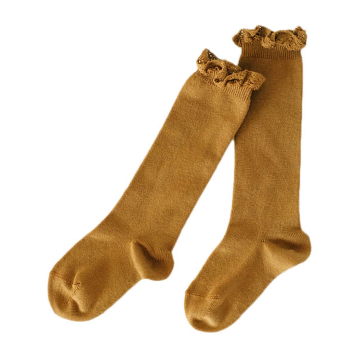 [}C]condor C qp 6`2 [XGbWOJt j[\bNX Ǝ w /Rhicondorj ^tB[