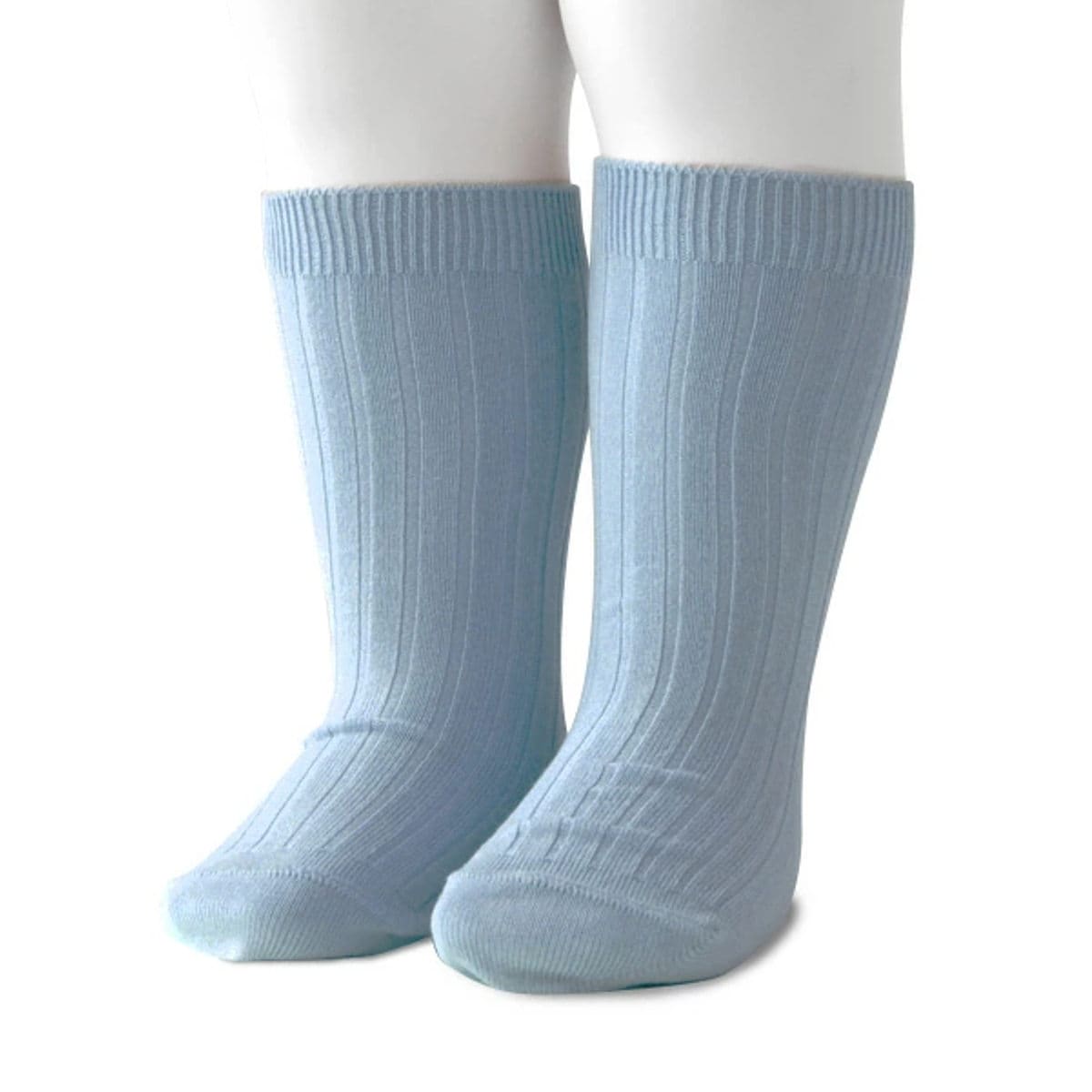 [}C]condor C qp 6`12 x[VbN uV[g\bNX Ǝ w /Rhicondorj AX[tVA