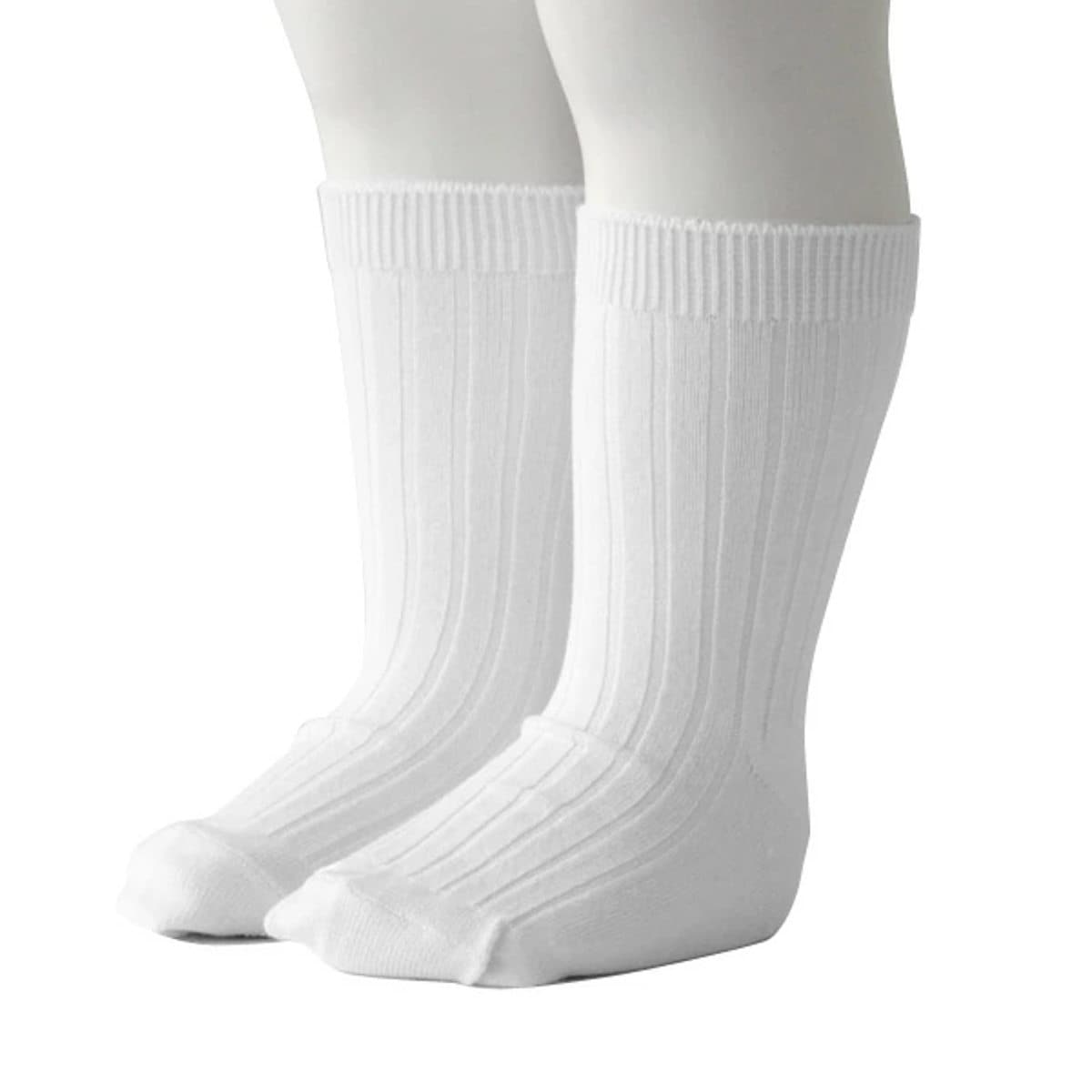 [}C]condor C qp 6`12 x[VbN uV[g\bNX Ǝ w /Rhicondorj uR