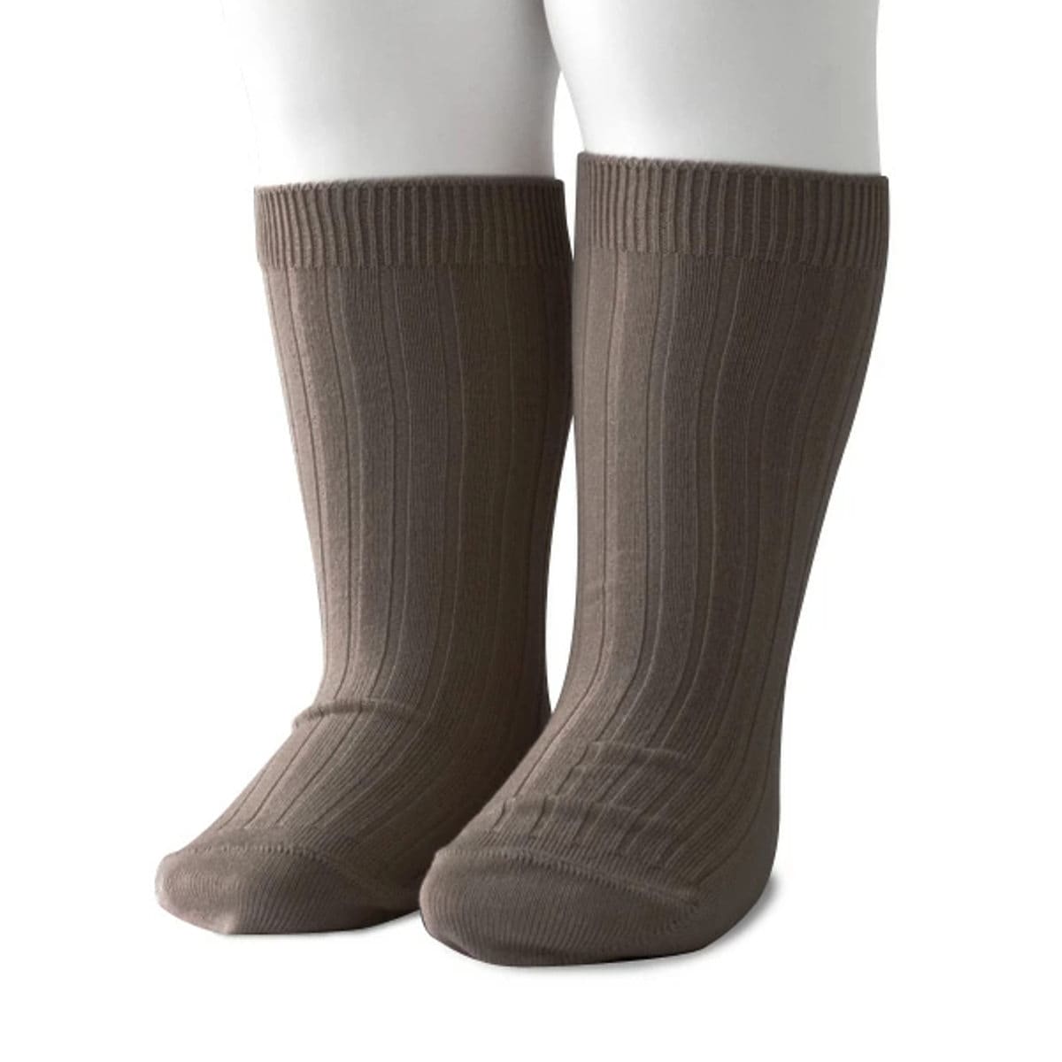 [}C]condor C qp 6`12 x[VbN uV[g\bNX Ǝ w /Rhicondorj }