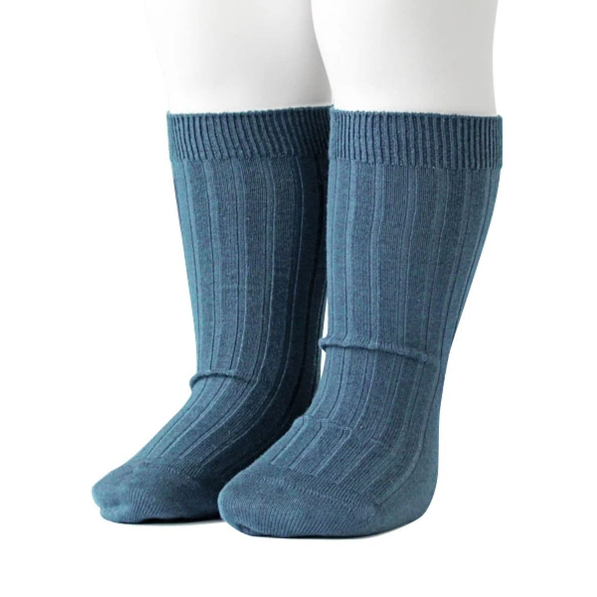 [}C]condor C qp 6`12 x[VbN uV[g\bNX Ǝ w /Rhicondorj I[V