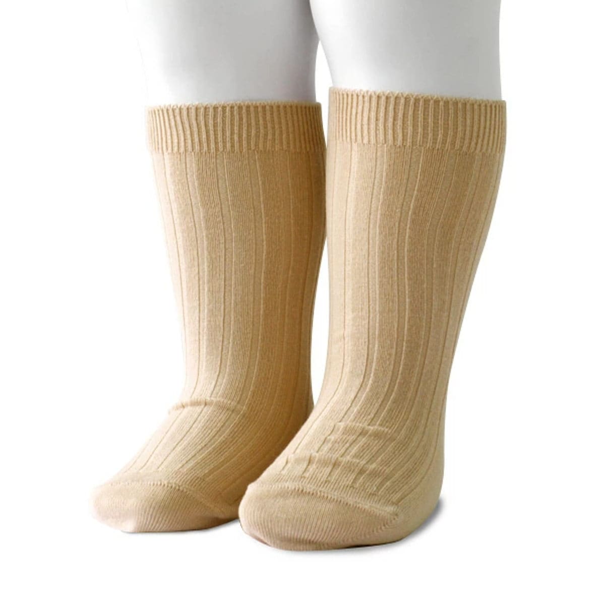 [}C]condor C qp 6`12 x[VbN uV[g\bNX Ǝ w /Rhicondorj gD