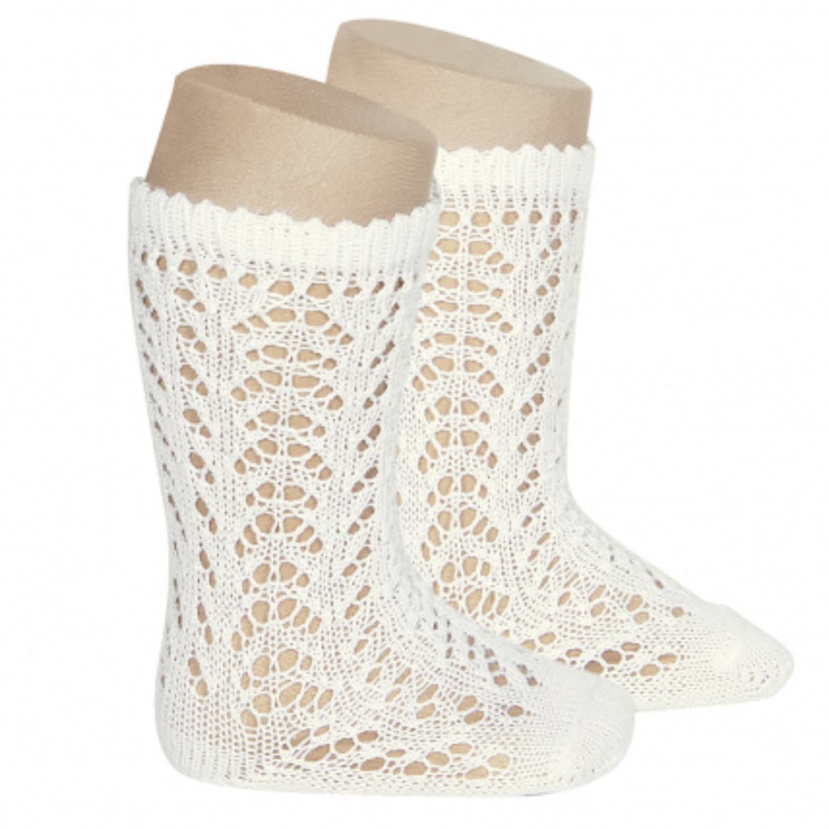 [}C]condor C qp 6`12 I[v[N j[\bNX Ǝ w /Rhicondorj Jo