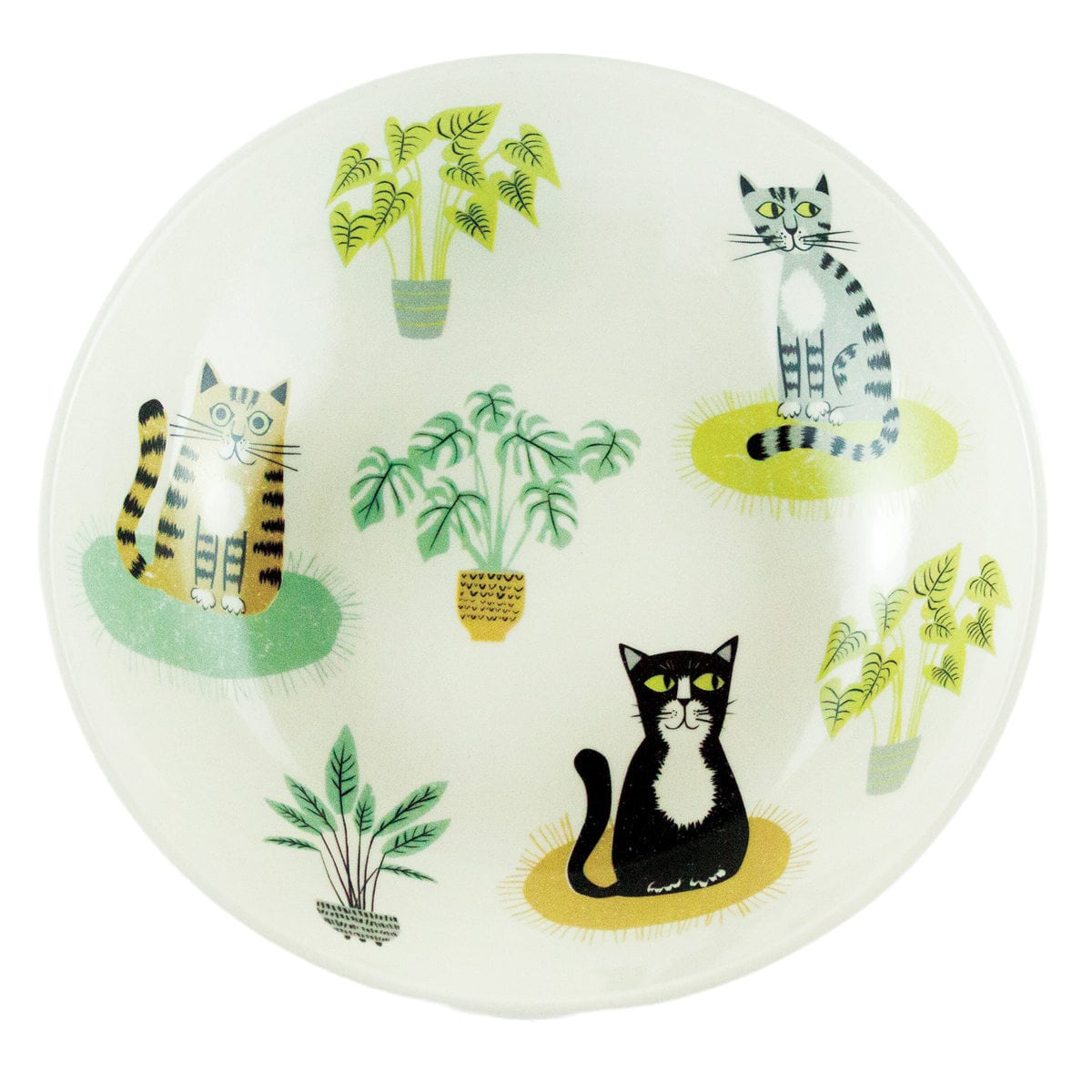[}C]Hannah Turner M lR Cat Pasta Bowl /ni^[i[iHannah Turnerj ONE