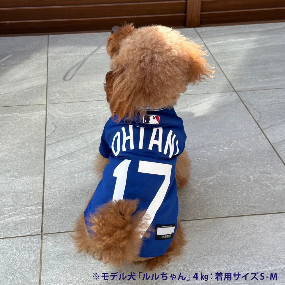 MLB公式 ロサンゼルス ドジャース 大谷翔平選手モデル