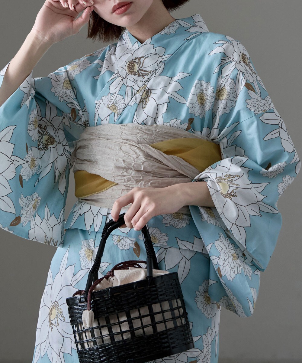 [}C]Zp[gȗ 2_Zbg/ATJiasakaj XFl 