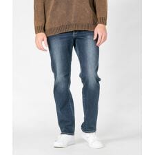 ZED レギュラーストレート