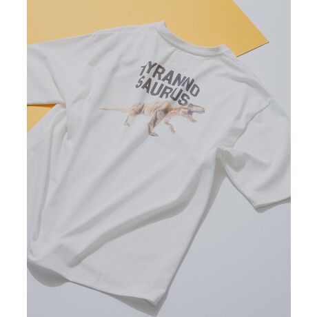 [^:205242142]bNX͋C͂̃Aj}vgTVcBobNX^C̓Aj}vgƃSAEɂ͂ꂼꑫՂGT̃`[thJ܂BWꂽ悤ȐF̃vgȂ̂ő傫߂̃vgłhɂȂ߂AlXȃACeƑǂĂ܂B낢ȓ̖LxȃfUCB̃CpNgۂɎc邱ƊԈႢȂIv[gɂ҂̃ACeł