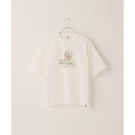 [^:25071720120110]fUC炵ƔL̃vgfUCڂA\[gTEEBOʂɑ傫vgꂽƔLLb`[ȃvgANZgB肵VGbgŁAjZbNXŊy߂锼TEEBf16/1I[vGhaVgpB100fށAJƂ^b`BI[vGhaViOEVj́AC̗ŔQaiI[vGhjgVnłBn̂JTƂŁAz⑬ɗDĂ܂B?yîCɓo^ɂāzuJ[gɓvẼn[g}[NĂƁAcP_AZ[Ȃǂ̒ʒm󂯎邱Ƃo܂Byēׂm点ɂāzuJ[gɓvuēׂm点vĂƊiēׂۂɁAʒm󂯎邱Ƃo܂Bs摜ɂĂ̂ӁtƖ̊֌WɂAۂFČꍇ܂B܂p\REX}[gtHȂǂ̊ɂA኱iƉ摜̃J[قȂꍇ܂Bi̐F́AiAbv摜QƂB