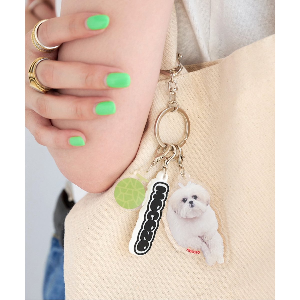 [}C]yWEB{ꕔX܌zR]E L[z_[/x[Z[XgbNiB.C STOCKj O[