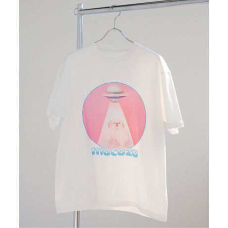 [^:25070710006010]u낢 R]EvB.C STOCKInstagramőlC̃R]ENƂ̃R{ACeVfUCčNoIuUFOɘAꂳZbgvƂO̒ʂAV[łƏ΂Ă炦悤ȃC[WŐ삳ꂽX^WI𗘗pĎBetHgTEEBR]ẼyƂʔ炪Ă銴ƂĂ킢炵̂łBlbgɓA@􂢁ij\ŋCyɂł̂|CgBV[YiiԁF25070710005910@yWEB{ꕔX܌zR]E x n[nt[ no[K[TEEiԁF25070710006010@yWEB{ꕔX܌zR]E x n[nt[ UFO TEEiԁF25070710006110@yWEB{ꕔX܌zR]E Jt[TEEiԁF25070710006210@sǉ2tyWEBzR]E bNTEEiԁF25090710003610@yWEB{ꕔX܌zR]E L[z_[iԁF25090710003710@yWEB{ꕔX܌zR]EXebJ[ZbgiԁF25092710007510@yWEB{ꕔX܌zR]E*Amimono Horinouchi TRbVR]E vtB[InstagramŘbƂȂAerCMɂõAChER]EBR]E2016N܂̒j̎qA|jAƃV[Y[̃~bNXłBh낢ʁhƂĐlC}㏸BInstagram:mocozo(@usuix)DOG PHOTO STUDIO/gallery n[nt[EڍɂAM[𕹐݂hbOtHgX^WIBA[gVѐSX^WIZbgŁAł͂ȂȂ̌邱ƂoȂƎ̐EςRZvgƂĂ܂B̏íAWEBƈꕔX܌菤iłB̂ق̓X܂ւ͓גv܂̂ł₢킹̍ۂɂ͂ӂBB.C STOCK@RuXB.C STOCK@kXifB[XjB.C STOCK@쒬cXB.C STOCK@Spick & Span / JOURNAL STANDARD / EDIFICE / IENA OUTLET STORE OcXB.C STOCK@Spick & Span / JOURNAL STANDARD / EDIFICE / IENA OUTLET STORE aXB.C STOCK @zJCN^EXB.C STOCK@˓XB.C STOCK@kBXB.C STOCK @LXJOURNAL STANDARD/SPICK&SPAN/ IENA/EDIFICE ӂԉXB.C STOCK@Spick & Span / JOURNAL STANDARD / EDIFICE / IENA OUTLET STORE ؍XÓXX܂ł̔̔Jn6/14`i؍XÓX̂6/23`jƂȂ܂BFzCĝ݂₠藠nFȂLkF₠򊴁FȂňFʁyX^btpRgzsX^bt staff.Ytg:160cm/iTCY:M-L/pTCY:t[TCYFS̓IɂƂTCYłBfފF_炩RbgfށBSnFȂnłB܂Ōl̊złB舵ɂẮAiɂĂi\łmFBƖ̊֌WɂAۂFČꍇ܂B܂p\REX}[gtHȂǂ̊ɂA኱iƉ摜̃J[قȂꍇ܂Bi̐F́AiAbv摜QƂBڍגpfF163cm@pTCYFt[