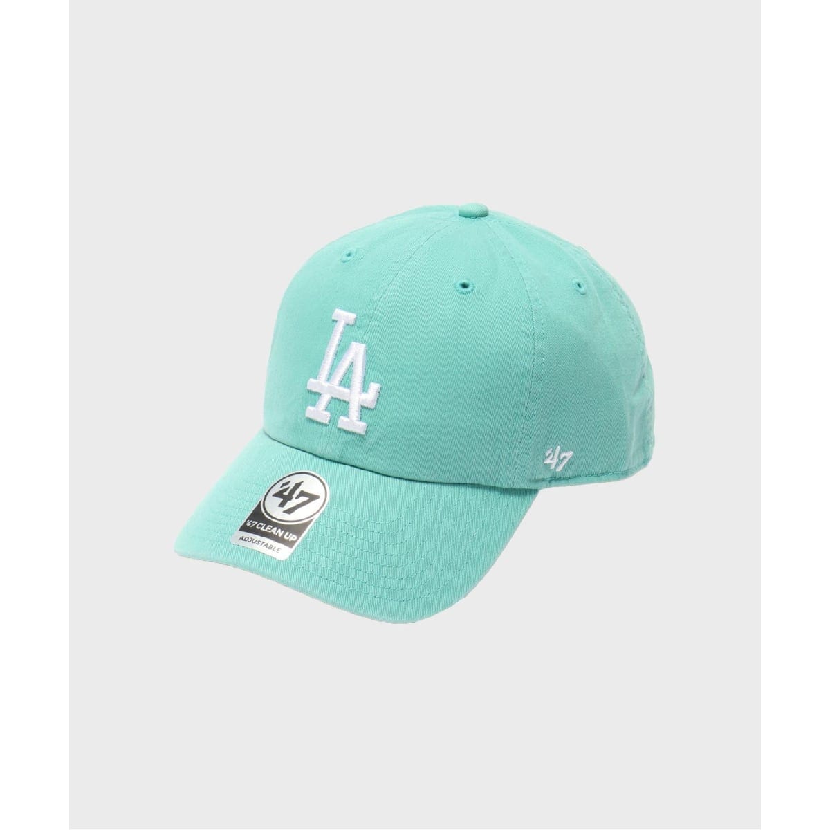 NEW ERA / ニューエラ 別注 ハード ウォッシュ TG 930