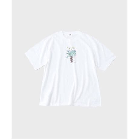 [^:25071730000620]fUCj[NȃtHŐlC̐AuIgiEwCv`[tɂAA[eBXeBbNȈꖇłB菑̂悤ȑ@ׂȃ^b`ŕ`ꂽCXgA{fB̒ɃvgBꖇŒ̂͂AVcWPbg̃Ci[ƂĒpۂAV][`vgȈۂ^Ă܂BTVcX^CɁAl̗VѐSvXłACełBfޔG肪ǂASnKȃRbgfނgpB悭ȐnŁAꖇłCɂSĂp܂Bł̐\ȃC[W[PAdlŁAfC[[XɍœKȈꖇłBySaori Ohwada / {^jJyC^[z킫sogB{fUCi[|pw@wZOtBbNfUCUȑƌAApAƓd[J[ЋΖoāAA[eBXgƂĂ̊JnB_𓌋ɈڂA2012 N ؂̐ԂƐ͂ɋg̍i`[t؂ɍiB2015 NAgłAĎn߂Ƃɒ`zF̃T{e⑽AɖAAC`[tɍi茻݂`ĂB̑Aǉ搧ApuhƃR{[Vn߁AlXȏipbP[W̃CXg񋟂ȂǂWŊBs摜ɂĂ̂ӁtƖ̊֌WɂAۂFČꍇ܂B܂p\REX}[gtHȂǂ̊ɂA኱iƉ摜̃J[قȂꍇ܂Bi̐F́AiAbv摜QƂByîCɓo^ɂāzuJ[gɓvẼn[g}[NĂƁAcP_AZ[Ȃǂ̒ʒm󂯎邱Ƃo܂Byēׂm点ɂāzuJ[gɓvuēׂm点vĂƊiēׂۂɁAʒm󂯎邱Ƃo܂B