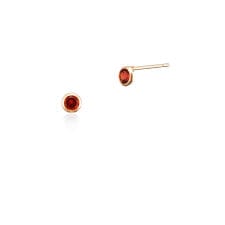 【1月誕生石】 K10イエローゴールド  ピアス