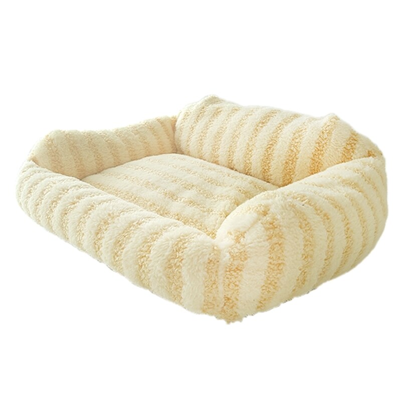 [}C]CottonCandyxbh XNGA CG[/yeBt@[iPETIFAMj CG[