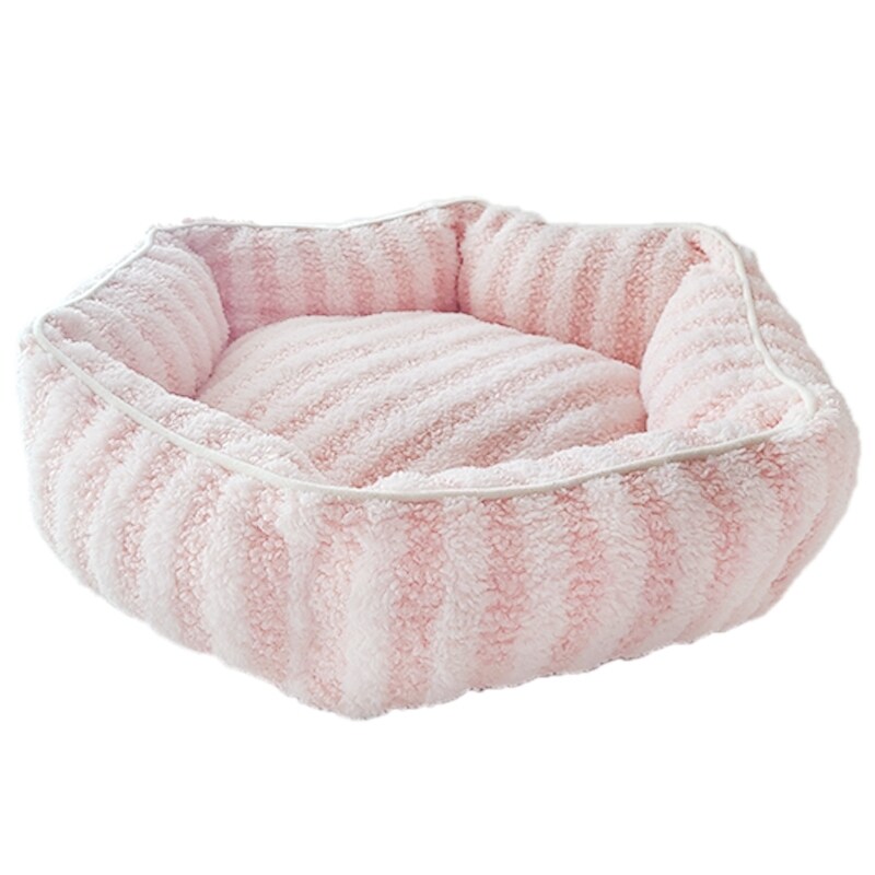 [}C]CottonCandyxbh Eh sN/yeBt@[iPETIFAMj sN