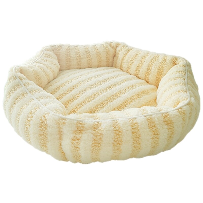 [}C]CottonCandyxbh Eh CG[/yeBt@[iPETIFAMj CG[