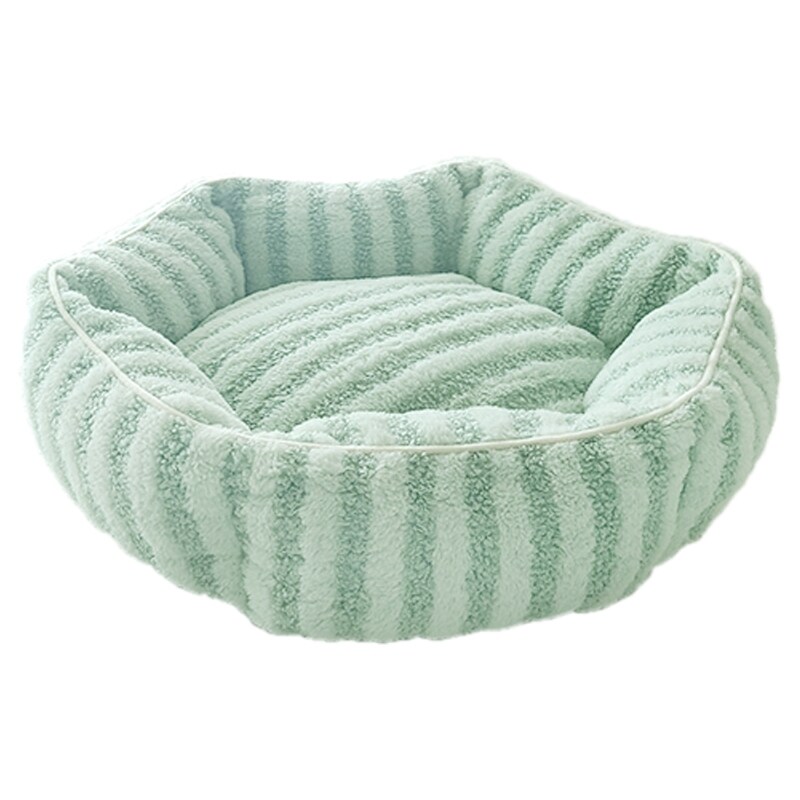 [}C]CottonCandyxbh Eh O[/yeBt@[iPETIFAMj O[