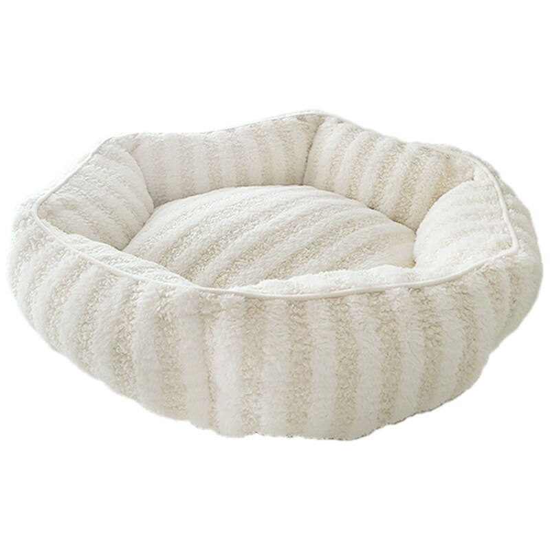 [}C]CottonCandyxbh Eh ItzCg/yeBt@[iPETIFAMj ItzCg