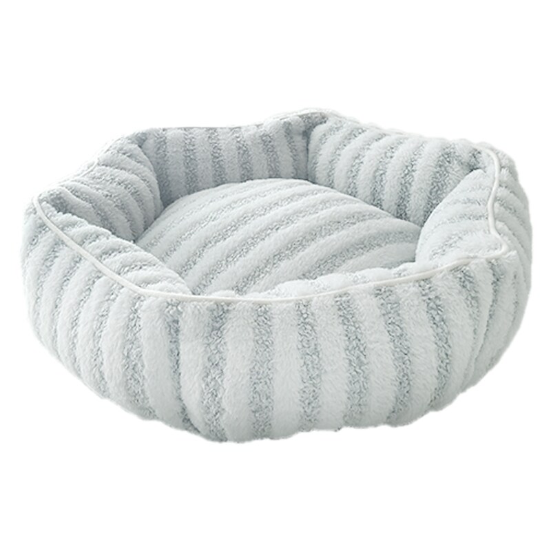 [}C]CottonCandyxbh Eh CgO[/yeBt@[iPETIFAMj CgO[