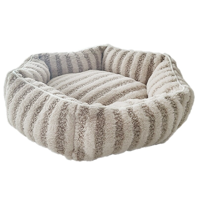 [}C]CottonCandyxbh Eh uE/yeBt@[iPETIFAMj uE