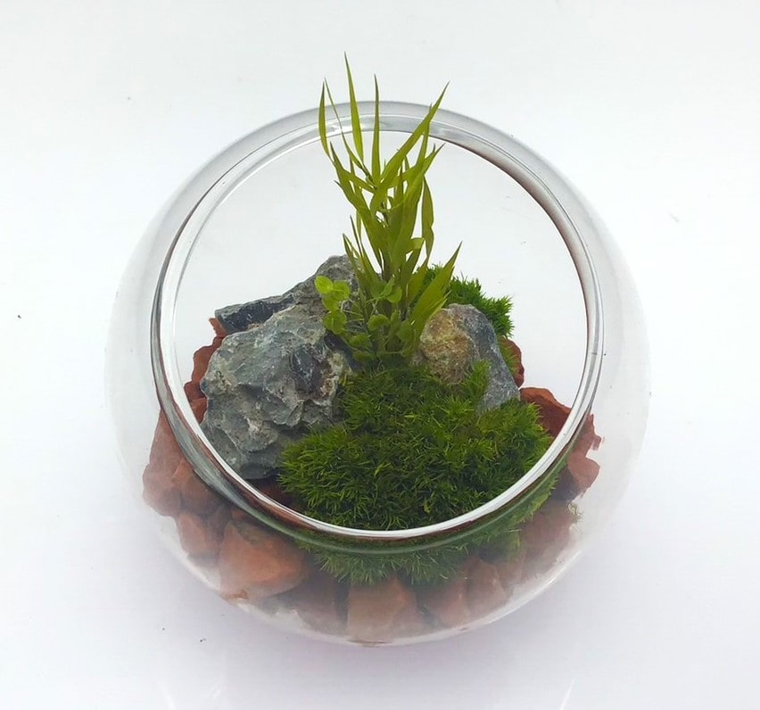 [}C]͂ȂۃeE ۃv 8cm/pbgiPalettej