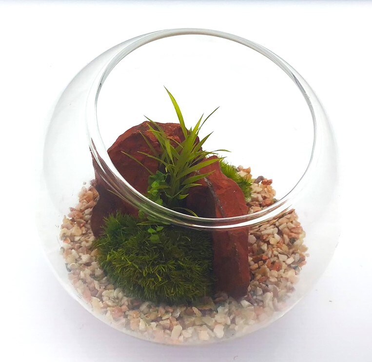 [}C]͂ȂۃeE ۃv 10cm bhbN[YsN/pbgiPalettej