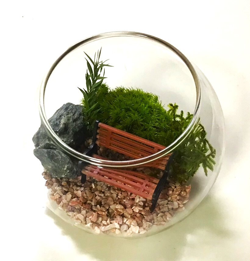 [}C]͂ȂۃeE ۃv 10cmx`[YsN/pbgiPalettej