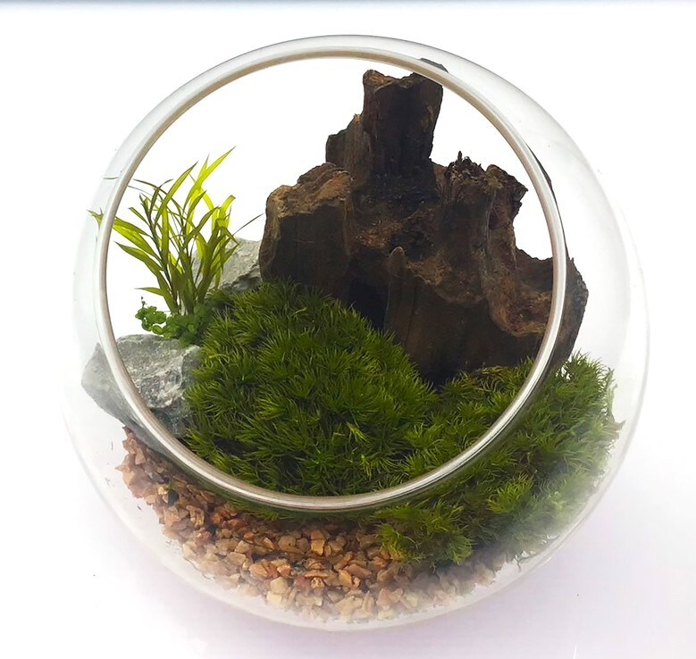 [}C]͂ȂۃeE ۃv 12cmEbh[YsN/pbgiPalettej