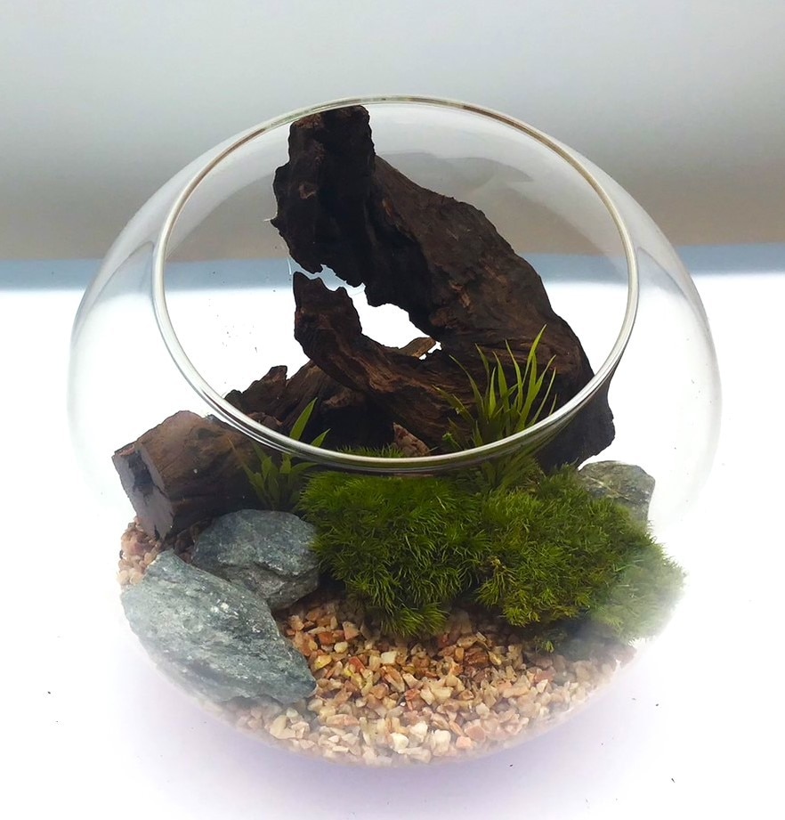 [}C]͂ȂۃeE ۃv 15cmEbh[YsN/pbgiPalettej