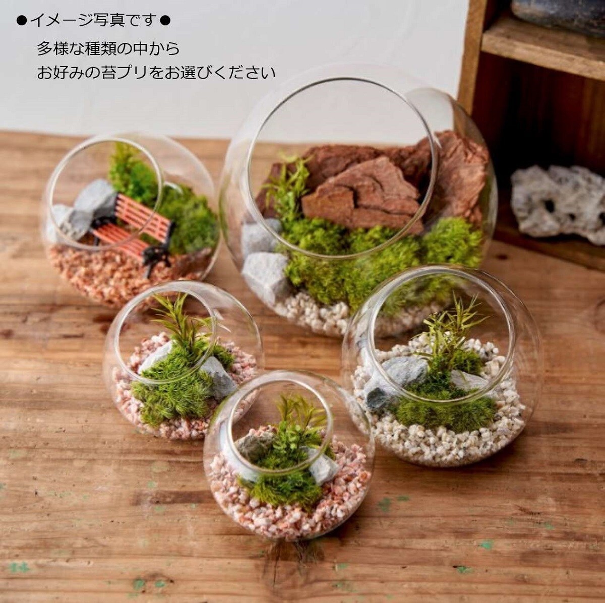 ❣️苔アート❣️ハラダ様オーダー専用❣️苔リューム❣️送料込み❣️ オーダー参考】悪魔の砦 | 苔テラリウム専門ショップ道草