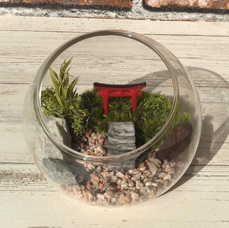 [}C]͂ȂۃeE ۃv10cm^Cv[YsN/pbgiPalettej