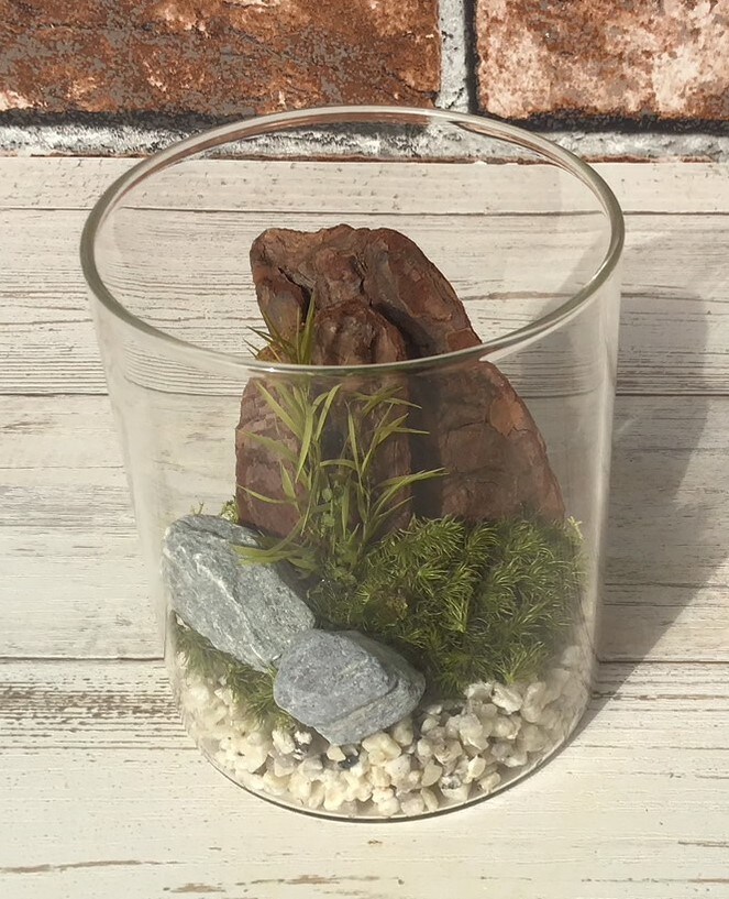 [}C]͂ȂۃeE ۃv8.5cmi`/pbgiPalettej